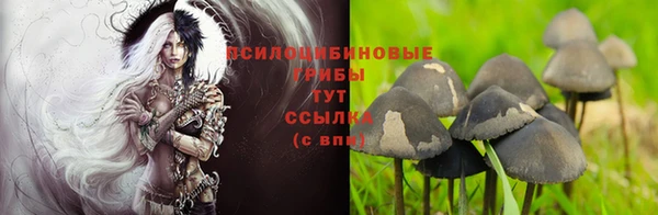 дмт Алексеевка
