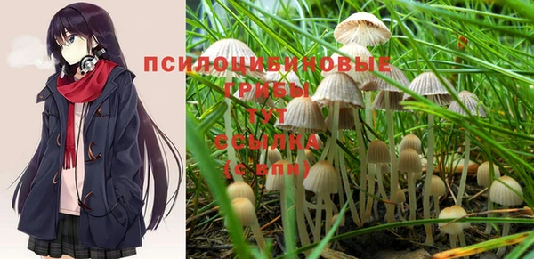 дмт Алексеевка