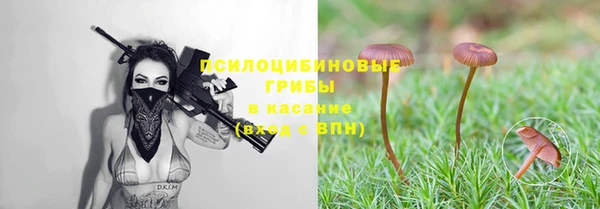 амф Абинск